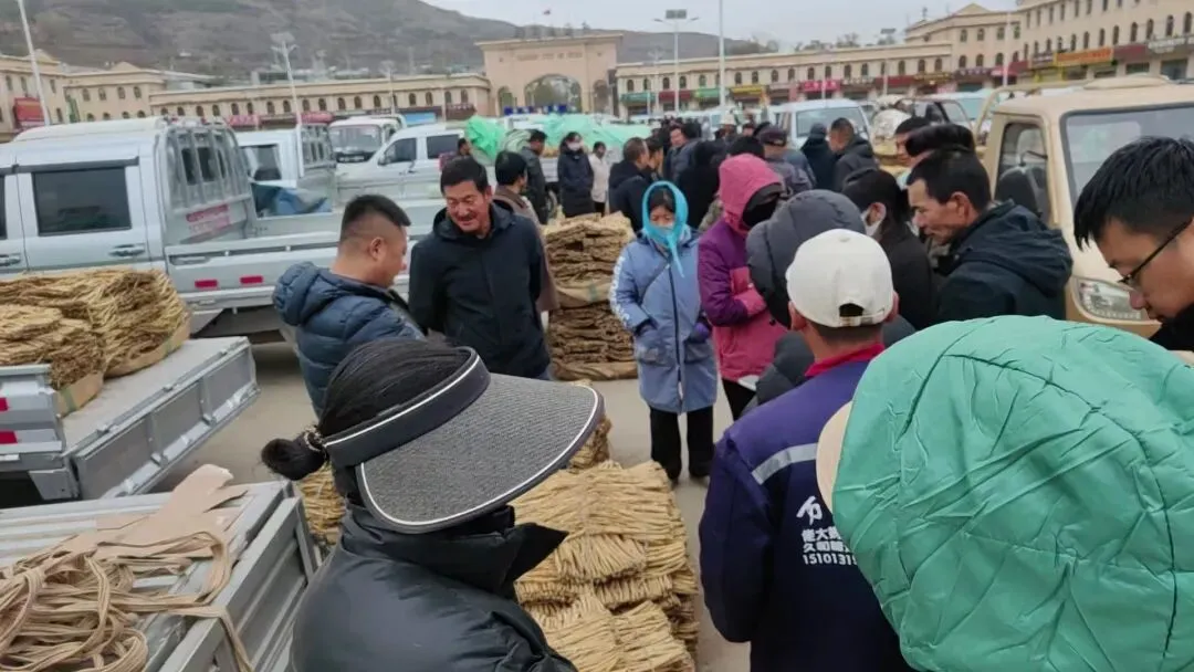 2026年4月20日岷县中药材市场快讯(当归饮片走货不快,成交价格疲软)