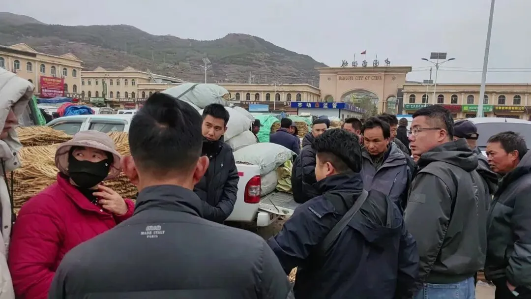 2026年4月20日岷县中药材市场快讯(当归饮片走货不快,成交价格疲软)