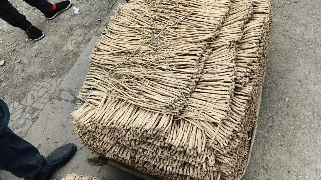 2026年4月20日岷县中药材市场快讯(当归饮片走货不快,成交价格疲软)