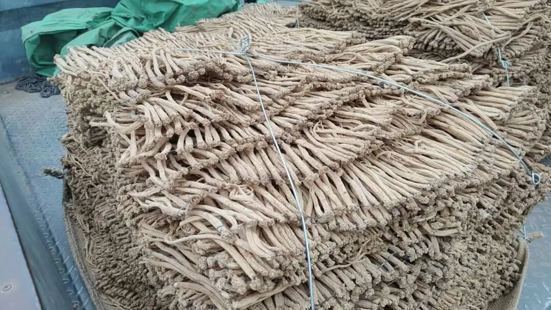 2026年4月20日岷县中药材市场快讯(当归饮片走货不快,成交价格疲软)