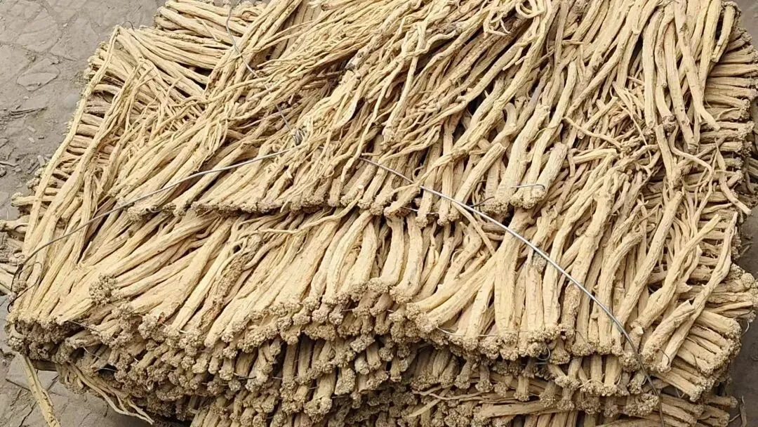 2026年4月20日岷县中药材市场快讯(当归饮片走货不快,成交价格疲软)