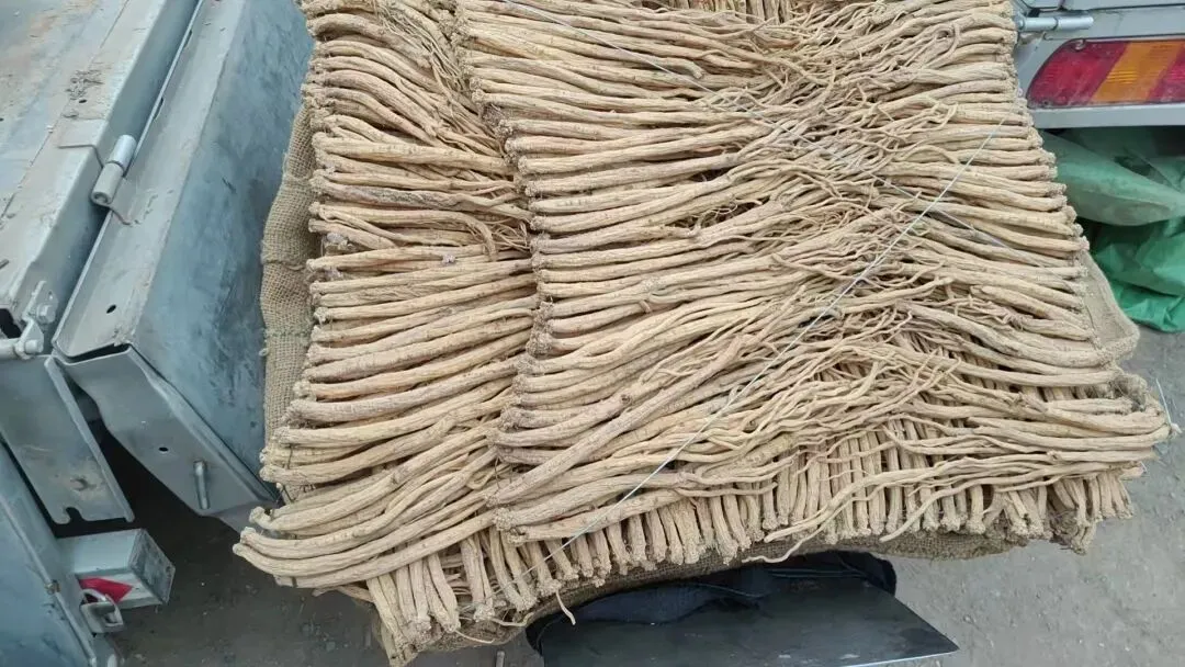 2026年4月20日岷县中药材市场快讯(当归饮片走货不快,成交价格疲软)