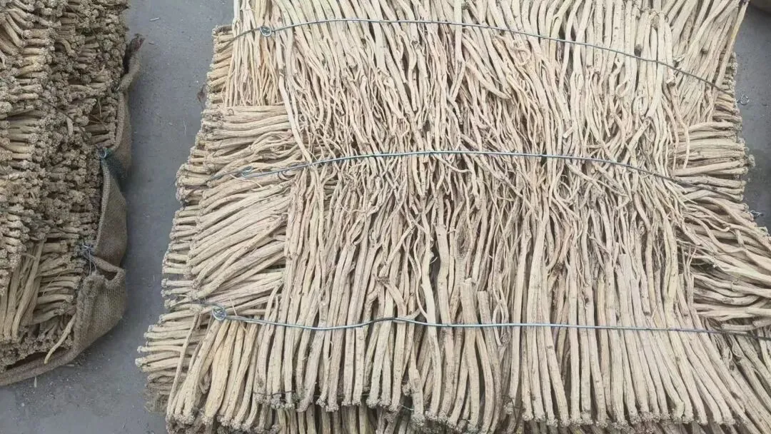 2026年4月20日岷县中药材市场快讯(当归饮片走货不快,成交价格疲软)