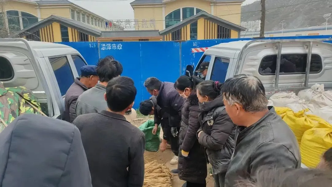 2026年4月20日岷县中药材市场快讯(当归饮片走货不快,成交价格疲软)