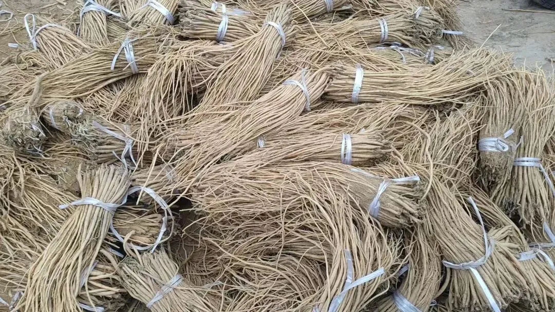 2026年4月20日岷县中药材市场快讯(当归饮片走货不快,成交价格疲软)