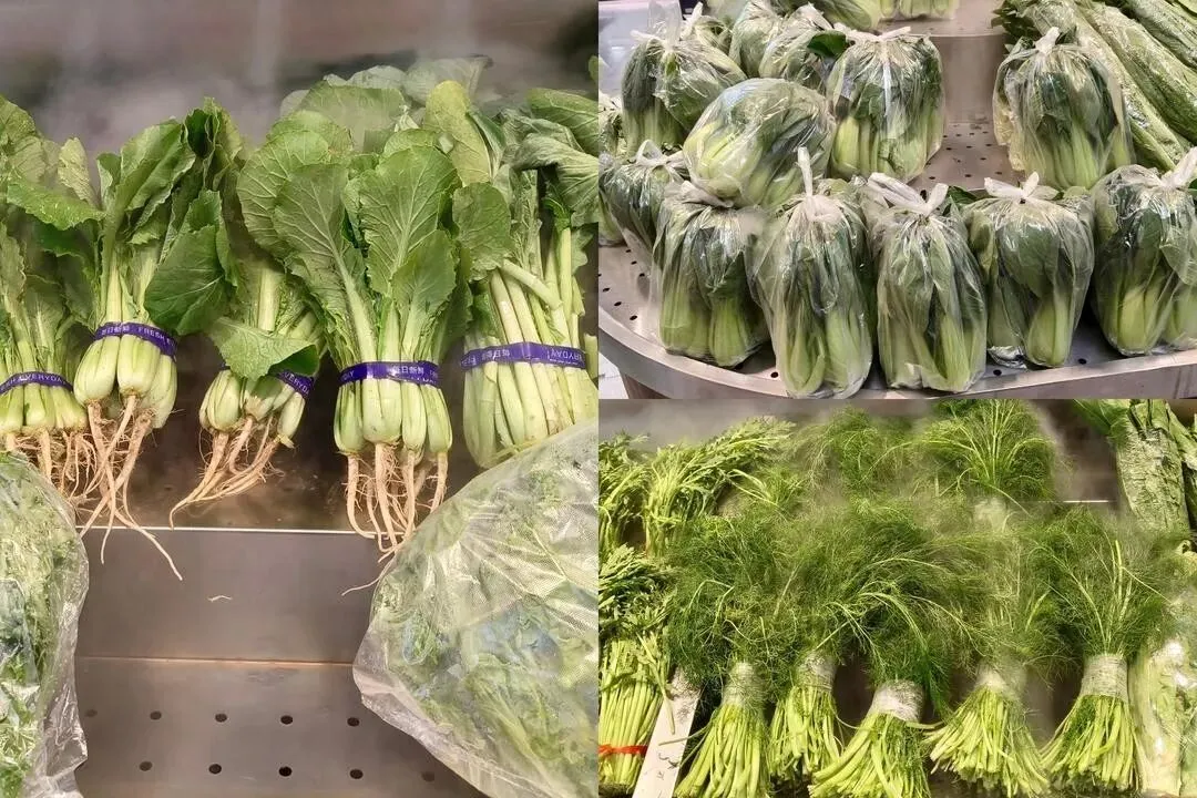 “培”你探市场|春日菜价“大跳水”!往年“青黄不接”,今年迎“平价盛宴”