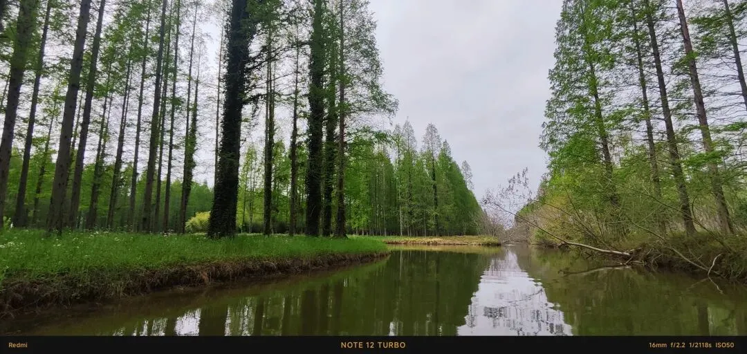 接下来系统讲解九段营销