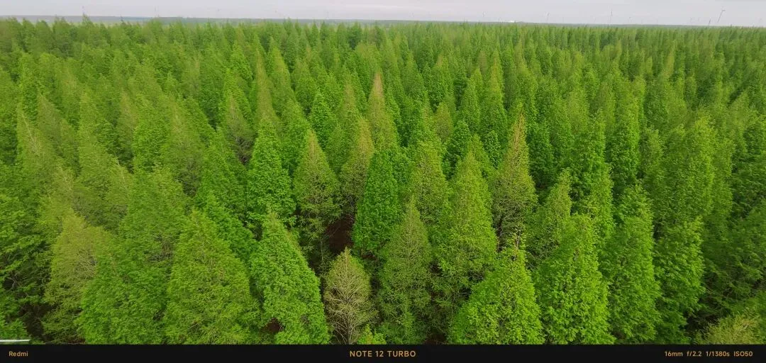 接下来系统讲解九段营销