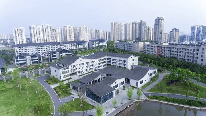 当“珍爱”走进冲突营销课堂:校企联动,共育实战英才