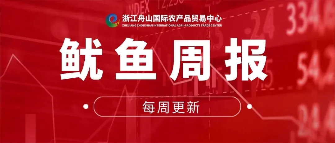 第16周鱿鱼周报|远洋鱿鱼市场阶段性修复,东南太平洋鱿鱼各规格价格普遍回升