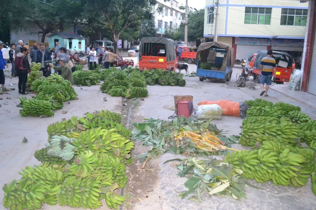沉眠金沙江底的辉煌:大崇香蕉市场,一代人的烟火记忆