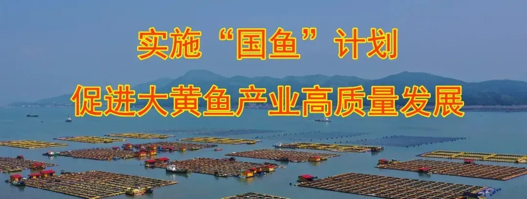 大黄鱼市场行情(2026年04月20日)