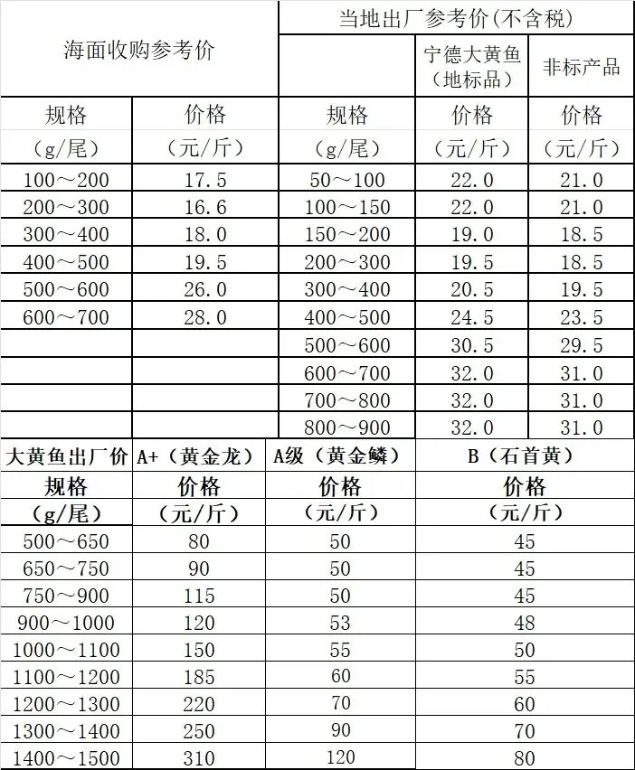 大黄鱼市场行情(2026年04月20日)