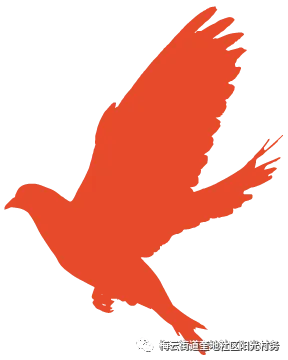 奎地村综合市场竞投结果公示