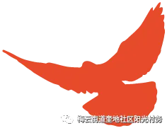 奎地村综合市场竞投结果公示