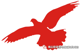 奎地村综合市场竞投结果公示