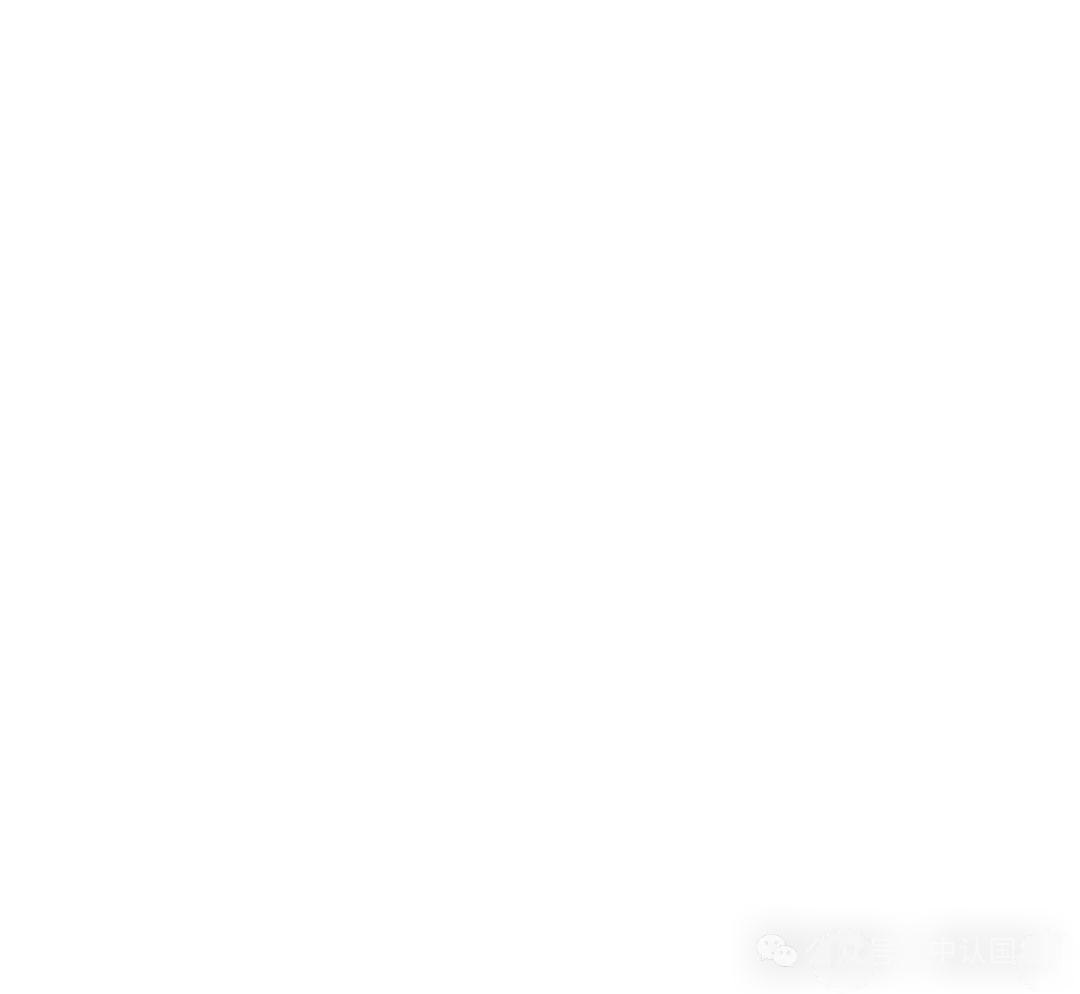 市场总局:出假报告直接撤资质、倒查相关人员责任