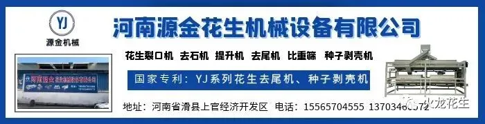 花生价格平稳运行,优质货源坚挺,市场询价问货增多,实际成交量有限.