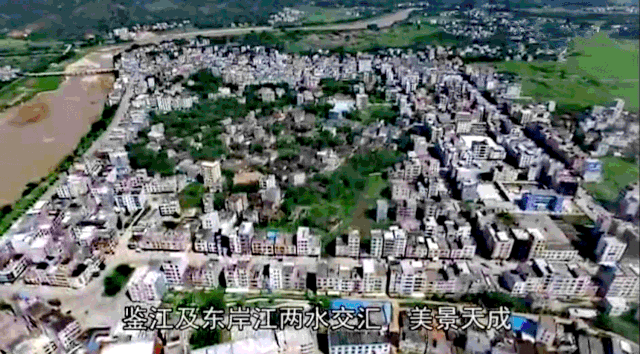 高州市召开2026年荔枝龙眼营销宣传需求对接会