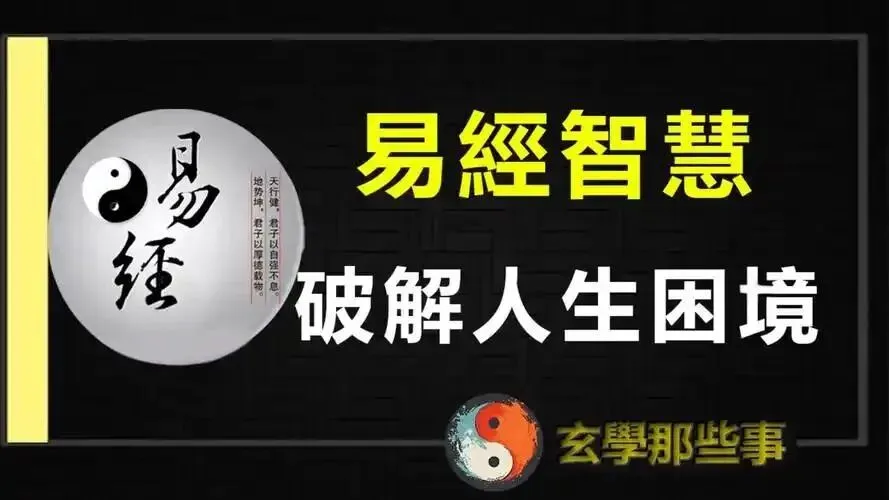 合肥本地有哪些细分市场适合做内容营销