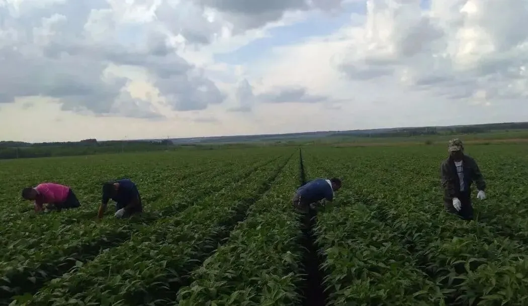 【全民营销】九三分公司:深入实施全民营销战略 激发企业发展新动力