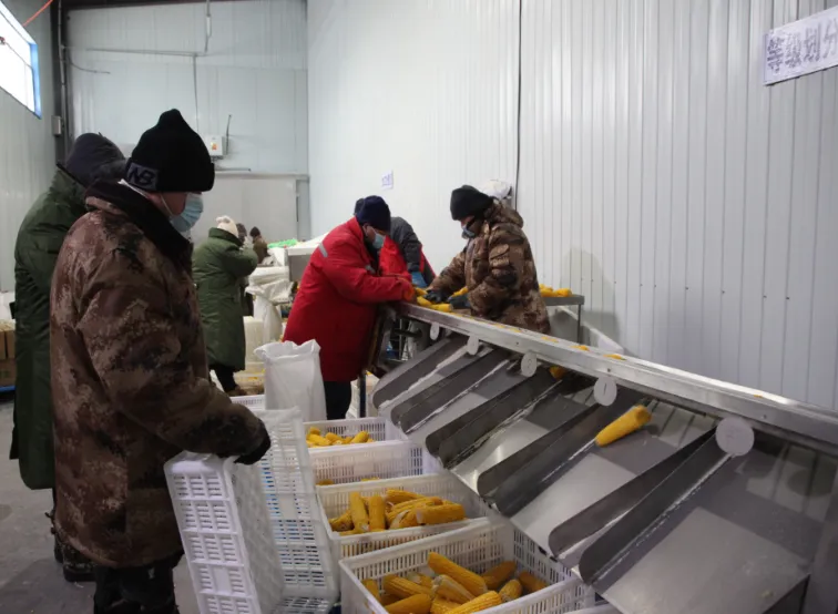 【全民营销】九三分公司:开启节日营销模式 线上线下活动不断