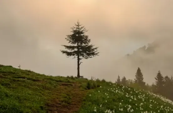 下一个周期的市场机会