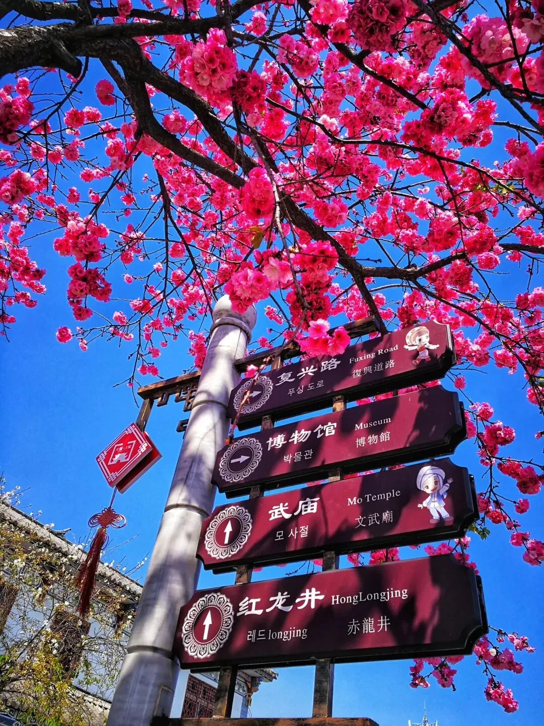 私家独立丨探索大理4天3晚|市场独家打造,深度解锁云南体验旅行