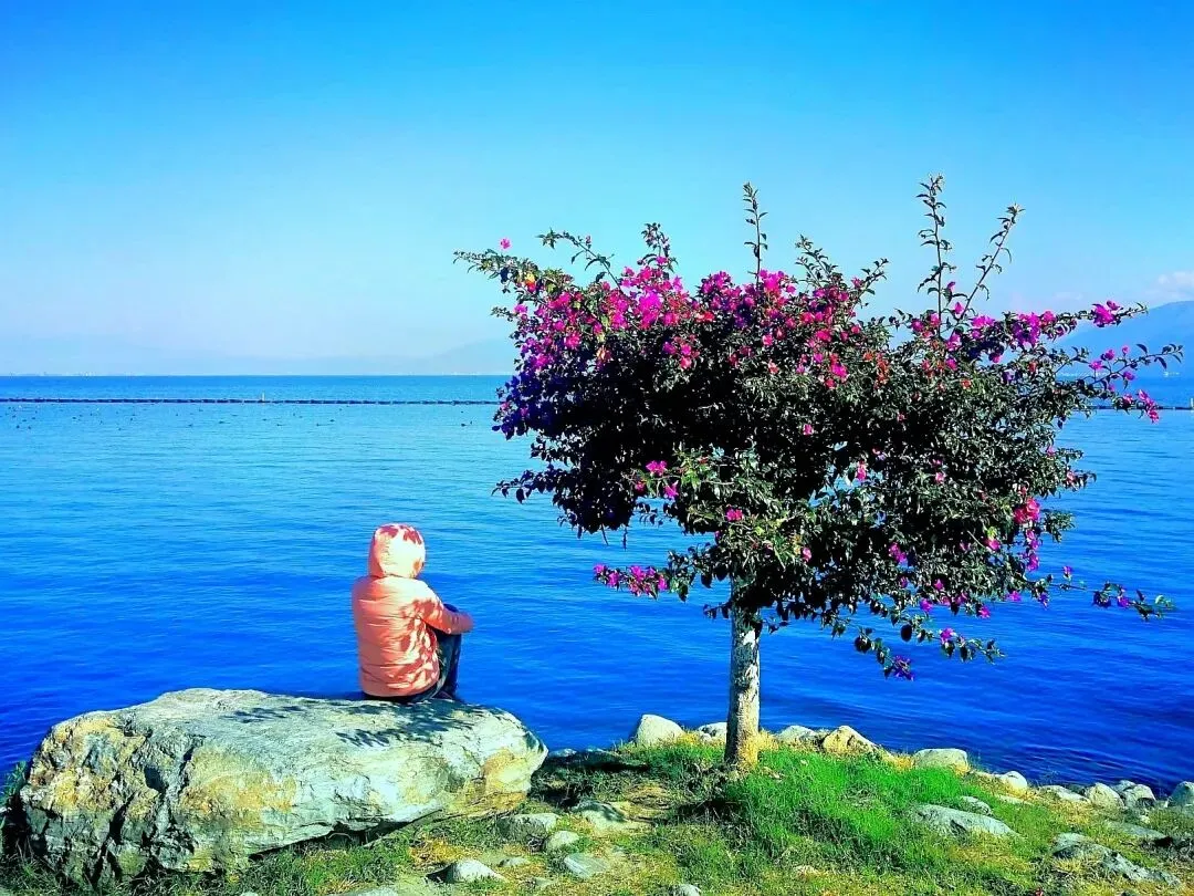 私家独立丨探索大理4天3晚|市场独家打造,深度解锁云南体验旅行