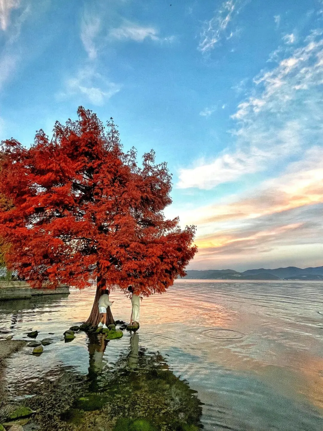 私家独立丨探索大理4天3晚|市场独家打造,深度解锁云南体验旅行