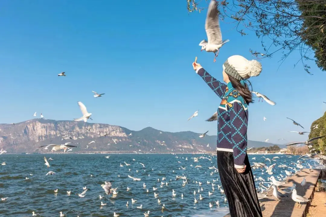 私家独立丨探索大理4天3晚|市场独家打造,深度解锁云南体验旅行