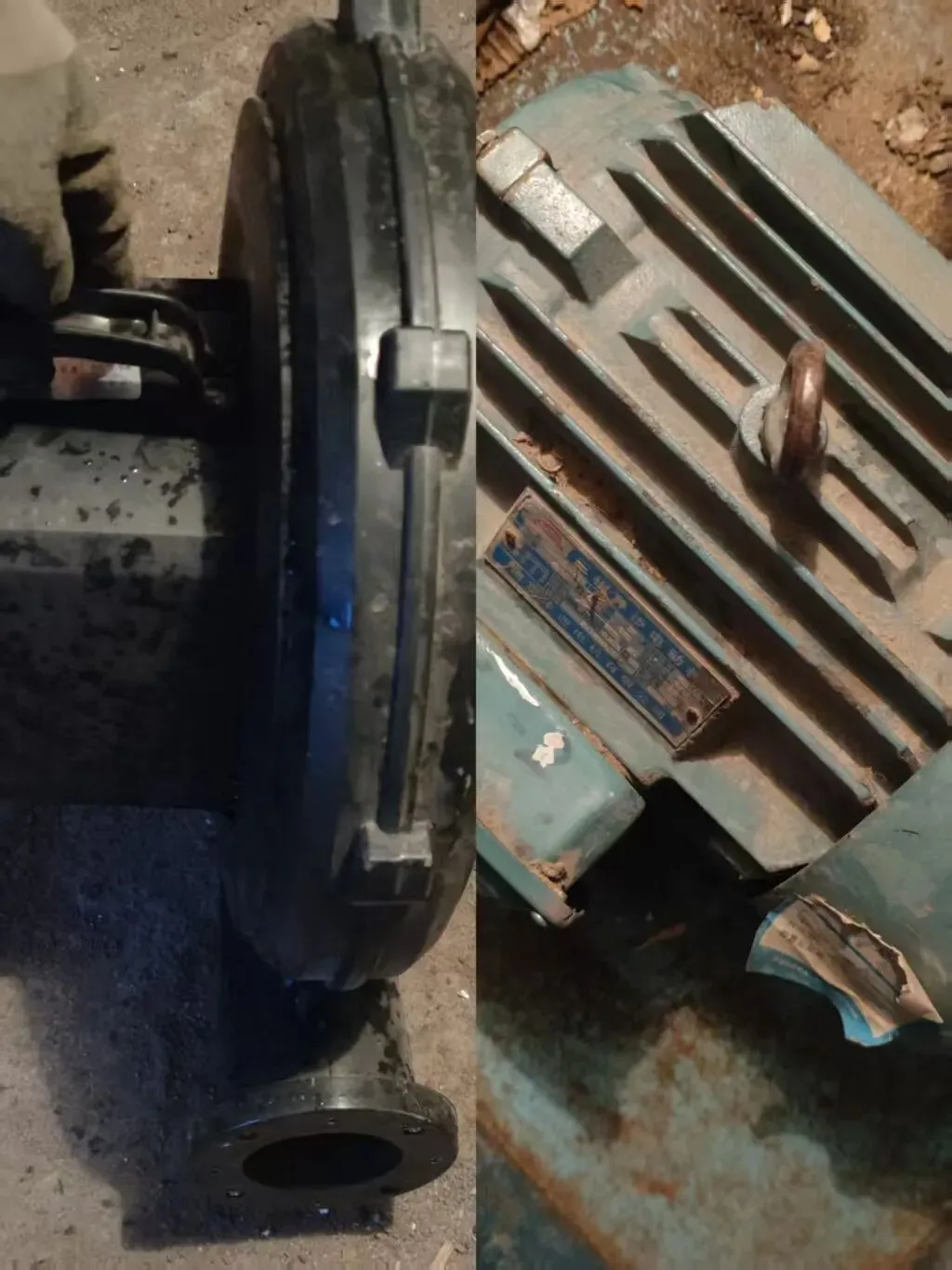 汤原买卖市场信息丨4月20日