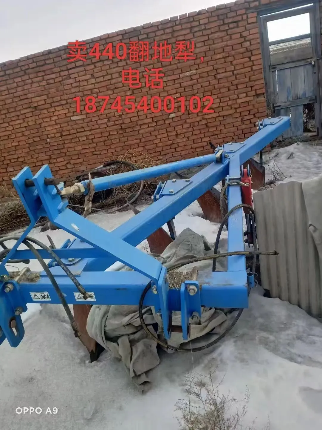 汤原买卖市场信息丨4月20日