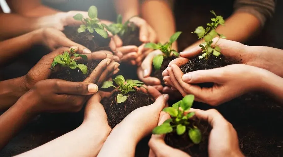 案例法规|保健品销售的“温情牌”是关怀还是陷阱?