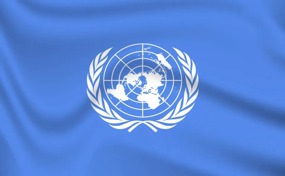 毛妤令袁任联合国全球市场UNGM长期独立顾问