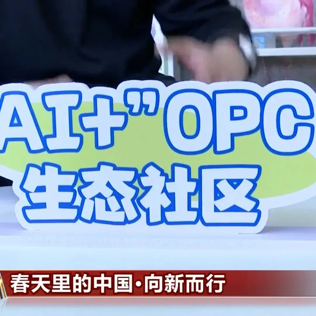 OPC一人公司怎么穿越周期,应对市场起伏