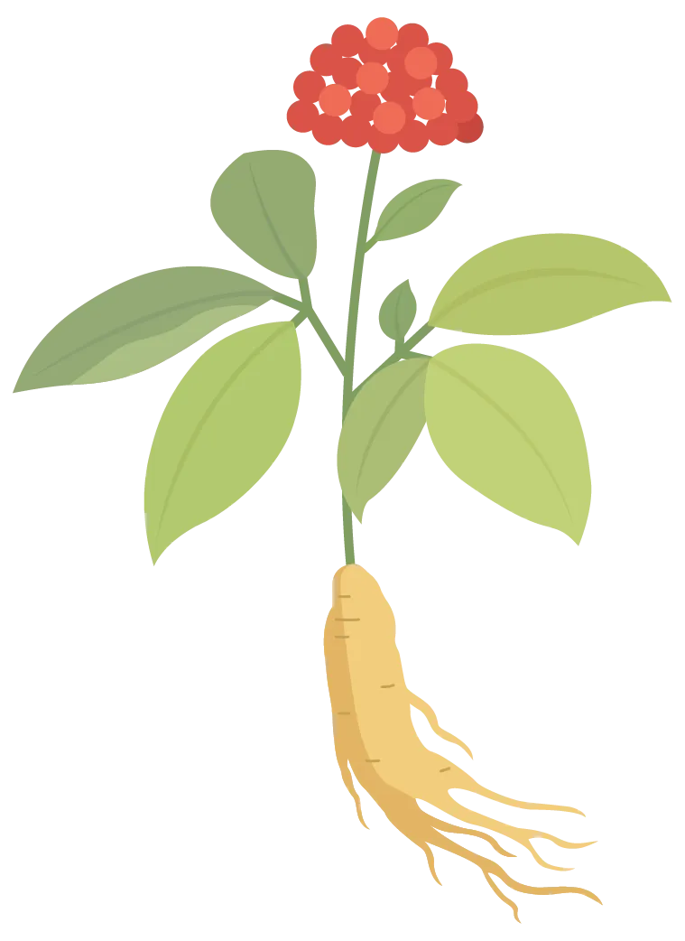 小小发票激活大市场 西宁有奖发票实现多方共赢