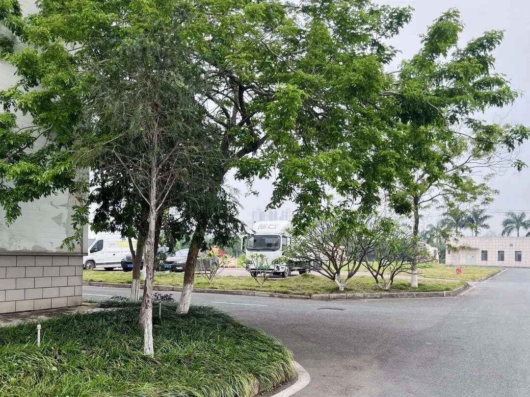 三月三沐春风,劳动焕新园区 | 我司营销团队开展园区落叶清扫活动