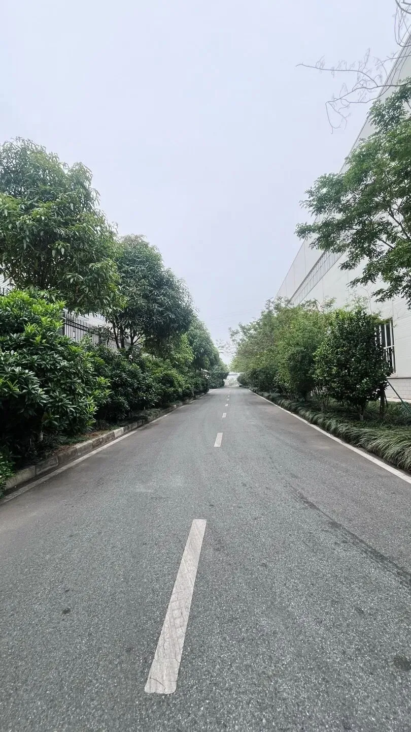 三月三沐春风,劳动焕新园区 | 我司营销团队开展园区落叶清扫活动