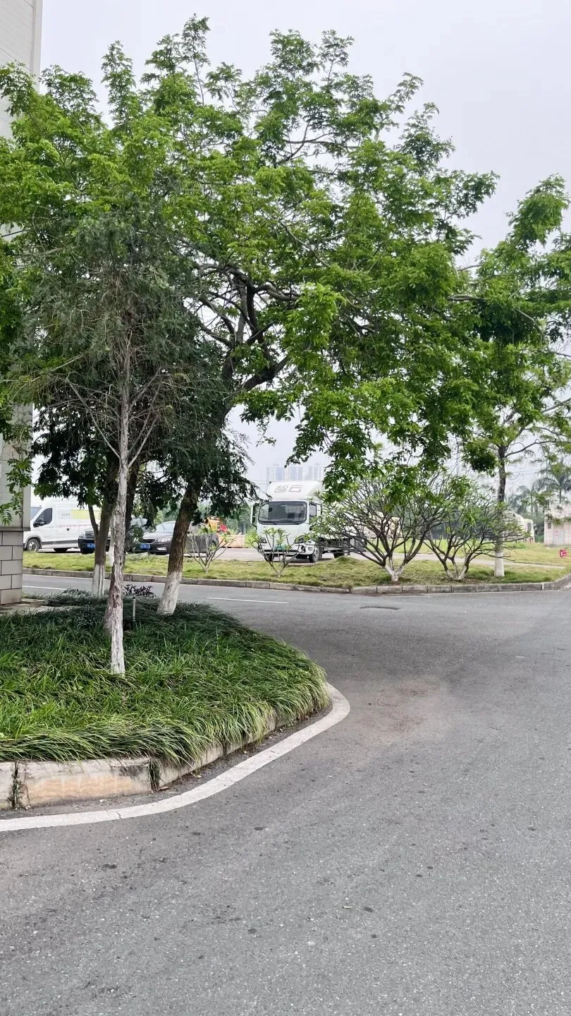 三月三沐春风,劳动焕新园区 | 我司营销团队开展园区落叶清扫活动