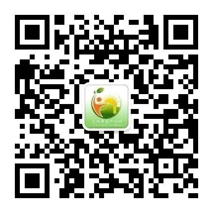 美化市场环境 规范经营秩序 提升消费体验