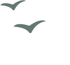 水泥网报告:沙特市场一季度水泥销量同比下降4.7%