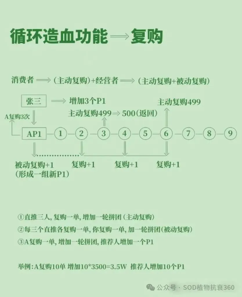 华一健康创新营销模式:健康产品与拼团公排的深度融合方案