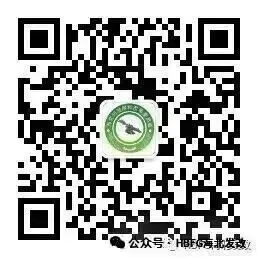 【政策解读】超大规模市场优势如何成为发展优势