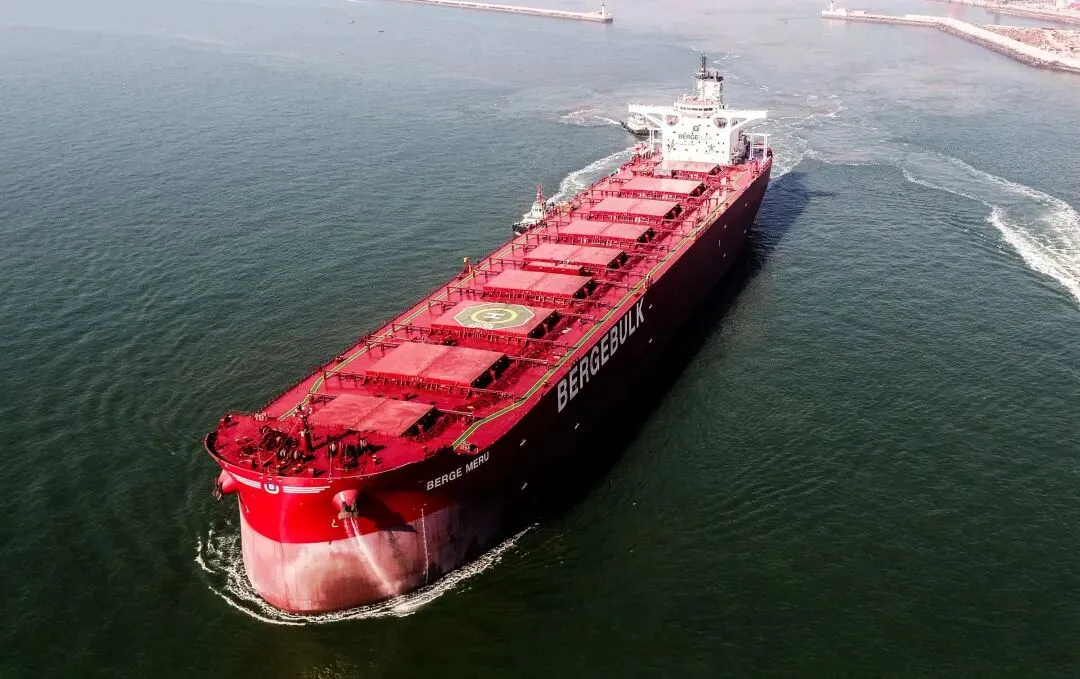 大船东看好干散货市场,但对新造船“说不”