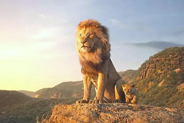 我的十二年:销售成长路上,以实战破局,以解法同行,陪销售人一起成长.