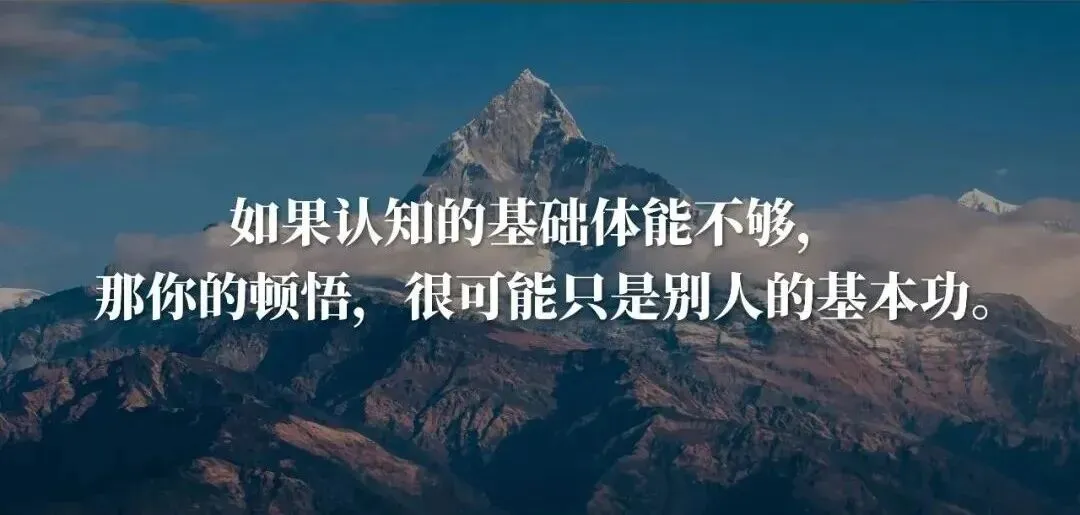 我的十二年:销售成长路上,以实战破局,以解法同行,陪销售人一起成长.
