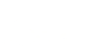 执法护航·乐动庐陵|吉安市文化市场综合行政执法支队全力护航音乐嘉年华圆满落幕