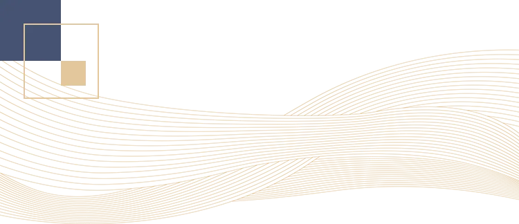 新闻|企业开拓国际市场交流对接会暨两用物项出口实务答疑会成功举办