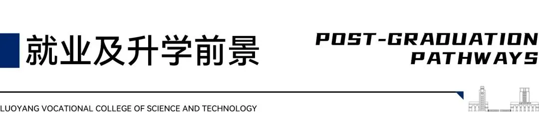 专业指南 | 市场营销:实战淬炼,名企直达,培育“懂技术、精应用”的数智精英